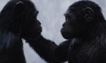 La guerra del Planeta de los Simios