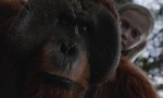 La guerra del Planeta de los Simios