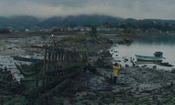 La isla de los faisanes
