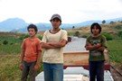 La jaula de oro
