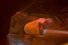 La jungla: Un buen día para morir