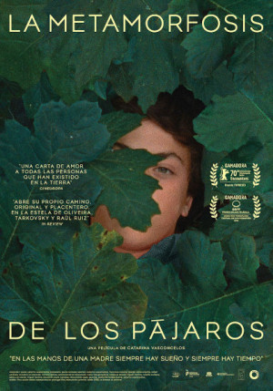 La metamorfosis de los pájaros