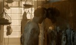 The Night Watchman. La mina