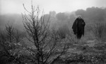 La mirada de Orson Welles