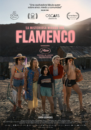 La misteriosa mirada del flamenco (2025)