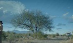La novia del desierto