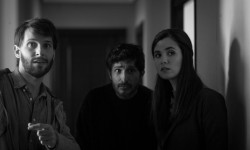 La quietud en la tormenta