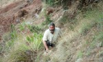 La vida lliure