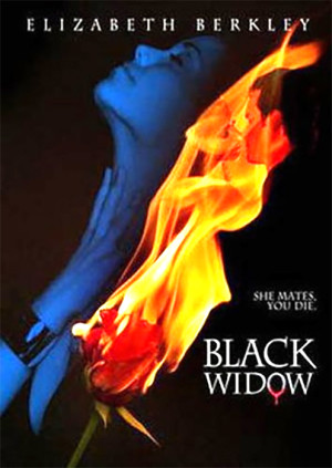 La viuda negra (2008)