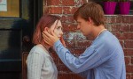 Lady Bird