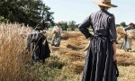 Las guardianas