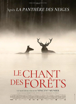 Le chant des forêts (2025)