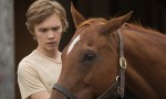 Lean on Pete
