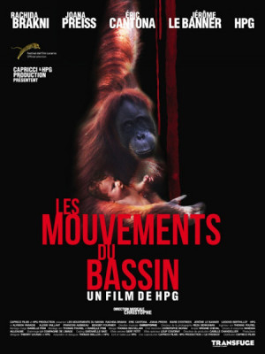 Les mouvements du bassin