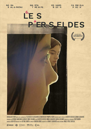 Les perseides (2019)