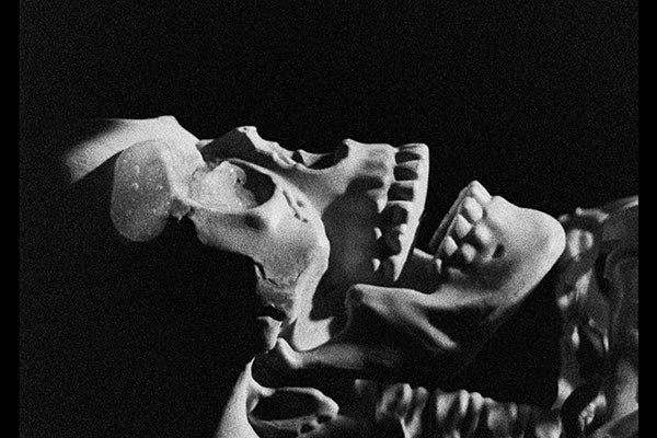 Letters to Paul Morrissey foto crítica.