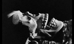 Letters to Paul Morrissey