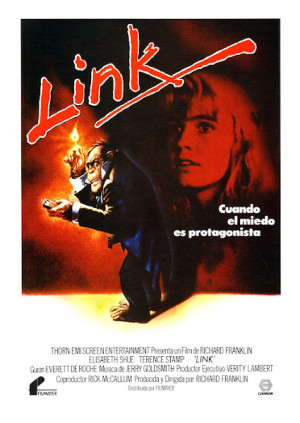 Link