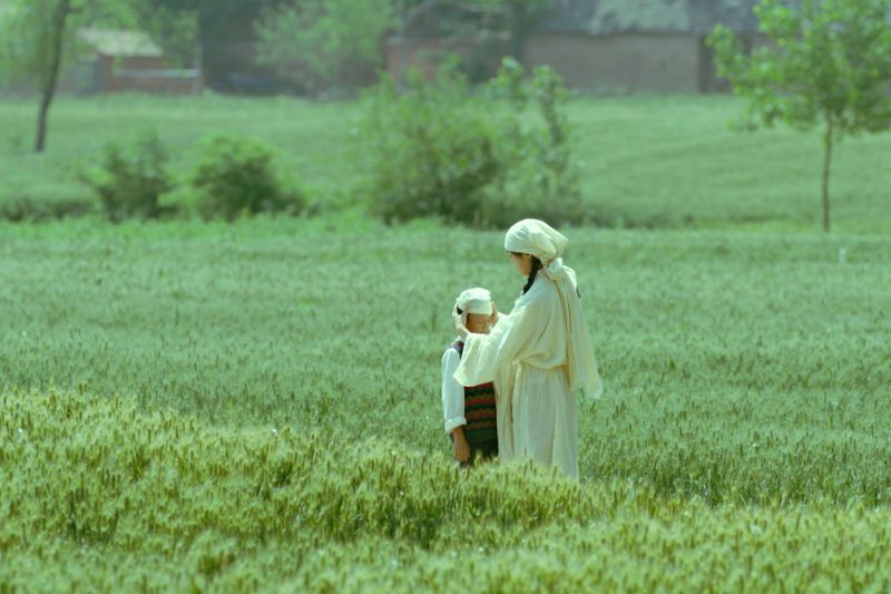 Vivir la tierra foto crítica.