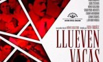 Llueven vacas