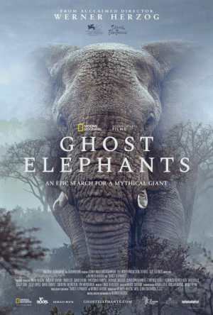 Los elefantes fantasma de Angola