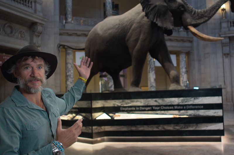 Los elefantes fantasma de Angola foto crítica.