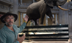 Los elefantes fantasma de Angola