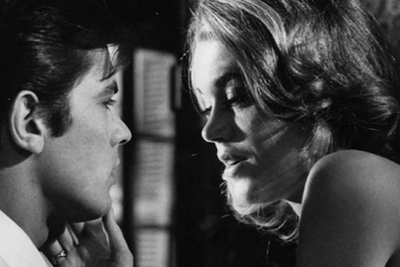 Los felinos foto crítica.