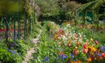 Los nenúfares de Monet