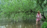 Los nenúfares de Monet