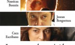 Los tontos y los estúpidos