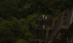 Lúa Vermella