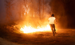 Lume
