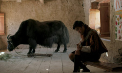 Lunana, un yak en la escuela
