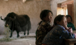 Lunana, un yak en la escuela