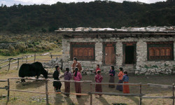 Lunana, un yak en la escuela