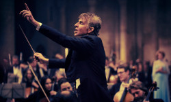 Maestro