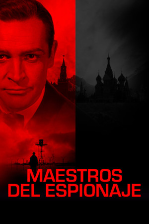 Maestros del espionaje