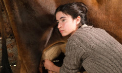 Maria Chapdelaine