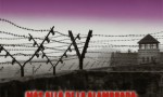 Más allá de la alambrada: La memoria del horror. Españoles en Mauthausen 1939-1945