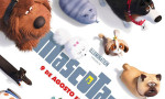 Mascotas 2