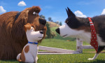 Mascotas 2