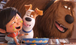 Mascotas 2
