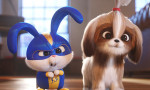 Mascotas 2