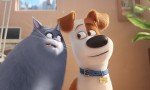 Mascotas
