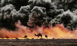 McCurry, la búsqueda del color