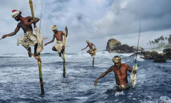 McCurry, la búsqueda del color