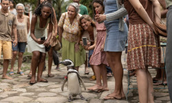 Mi amigo el pingüino 