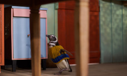 Mi amigo el pingüino 
