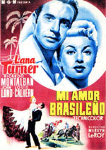 Mi amor brasileño
